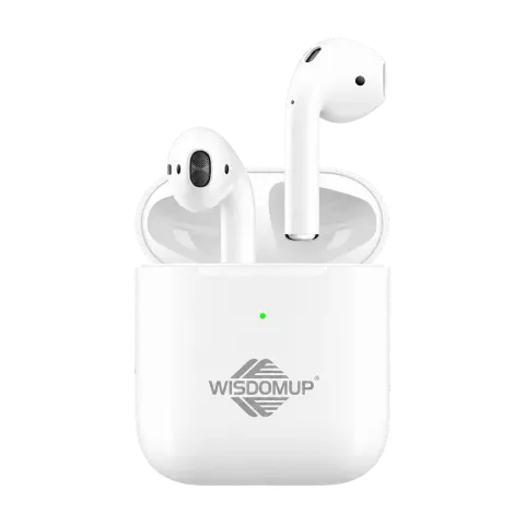 TS-2 True Wireless Earbuds