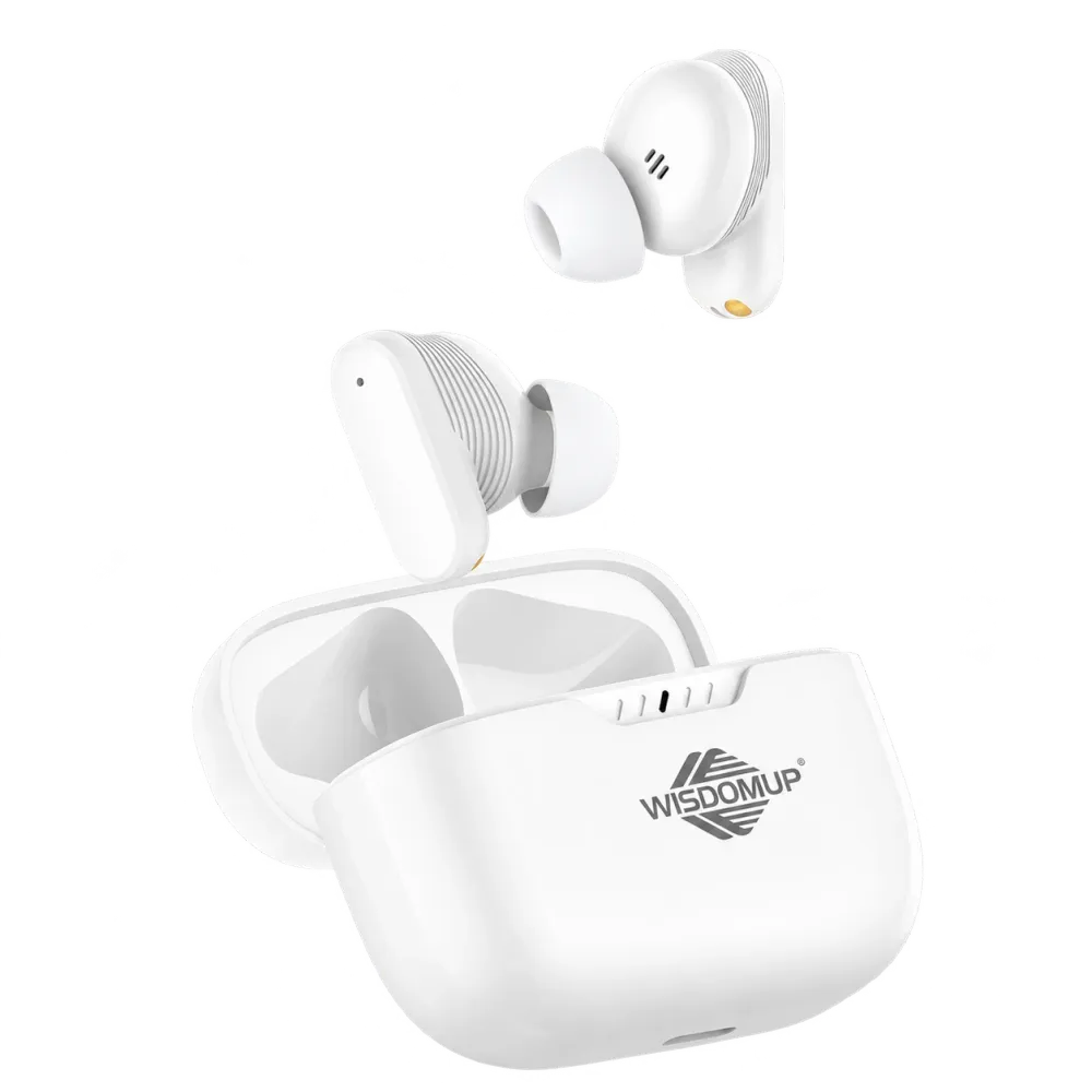 TS-10 True Wireless Earbuds