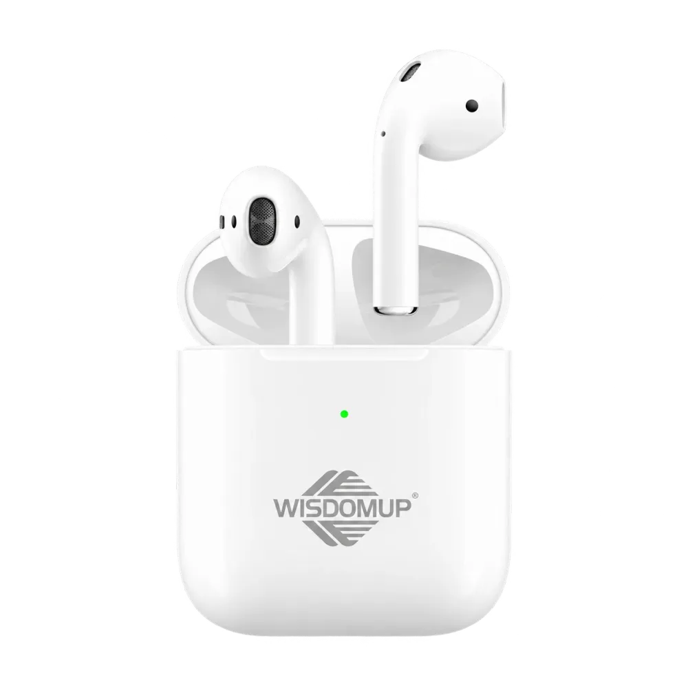 TS-2 True Wireless Earbuds