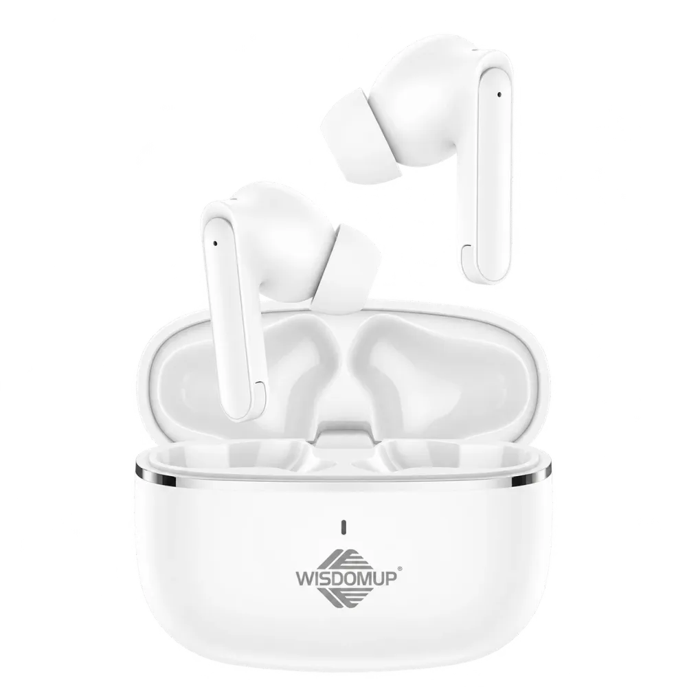 TS-8 True Wireless Earbuds